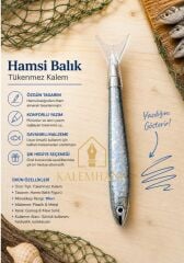 Hamsi Model Tükenmez Kalem Kutulu